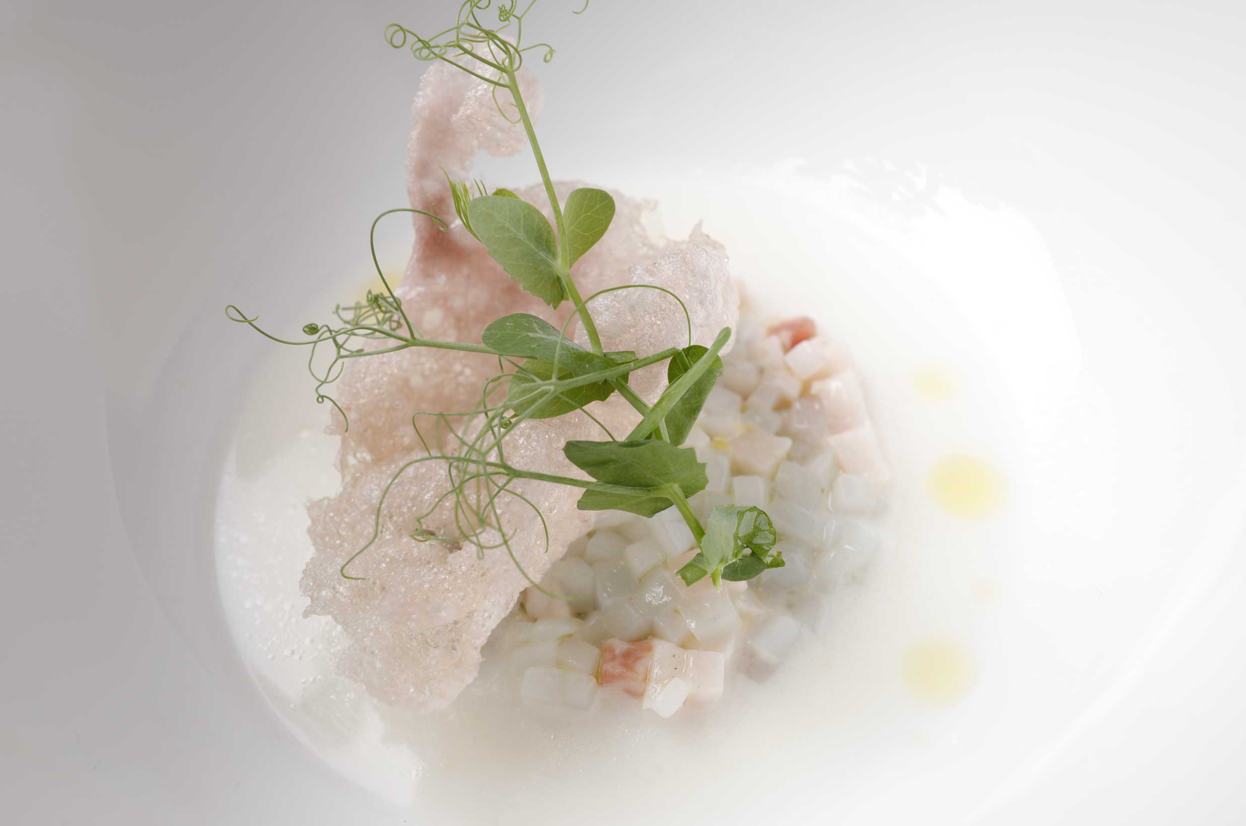 Piatto - Ristorante Levante Gabicce Mare